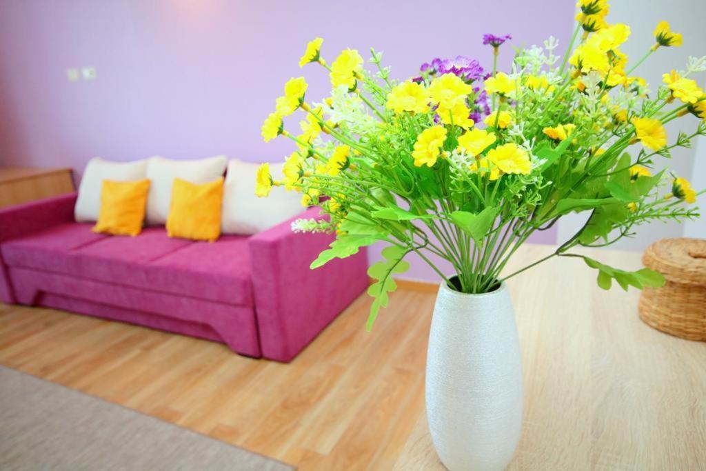 Flowers Apartments Timişoara Exterior foto